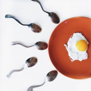 Read more about the article Diet for Healthy Egg and Sperm