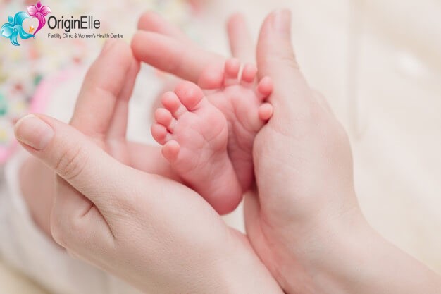 Read more about the article What Are The Prominent Things To Do To Make IVF Successful?